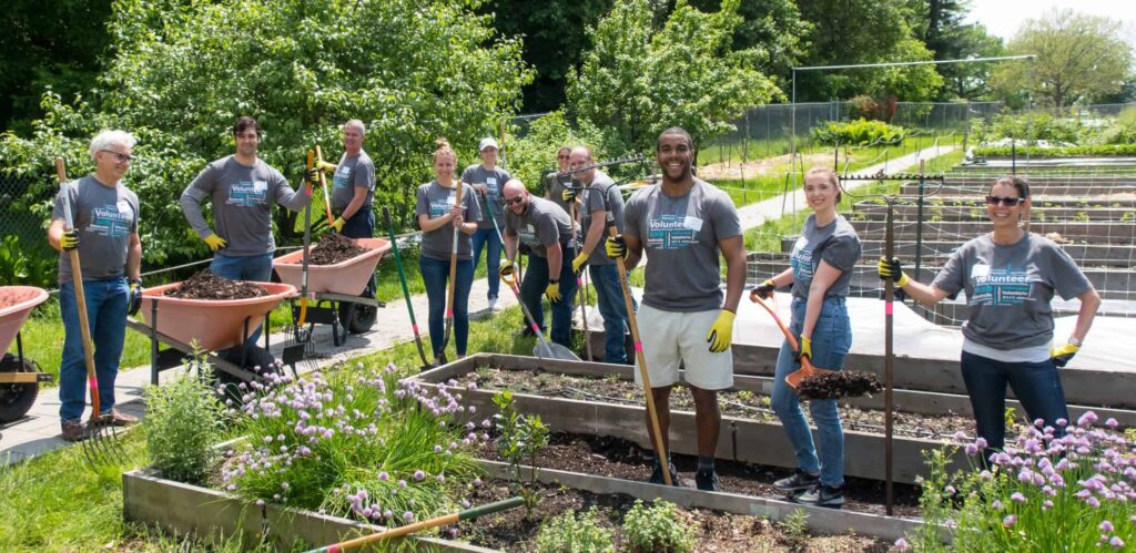 Percival Consulting Group employees volunteering at a local botanical garden